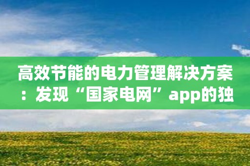 高效节能的电力管理解决方案：发现“国家电网”app的独特之处