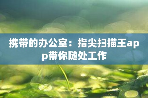 携带的办公室：指尖扫描王app带你随处工作