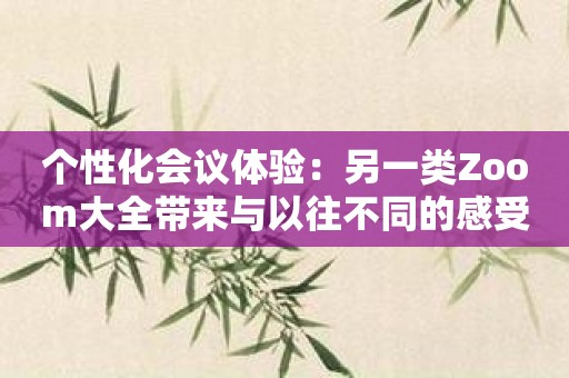个性化会议体验：另一类Zoom大全带来与以往不同的感受！