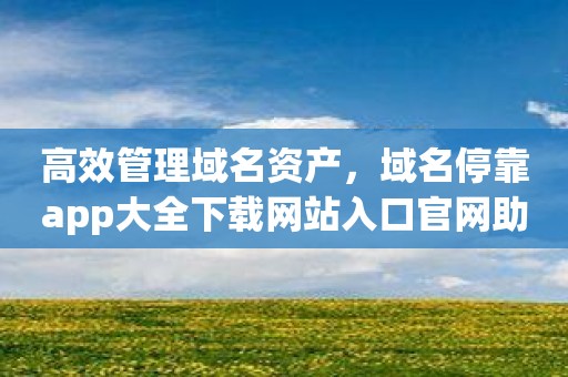 高效管理域名资产，域名停靠app大全下载网站入口官网助你一臂之力