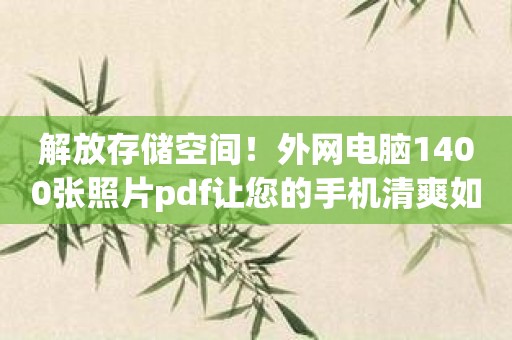 解放存储空间！外网电脑1400张照片pdf让您的手机清爽如新！