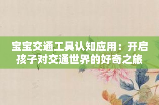 宝宝交通工具认知应用：开启孩子对交通世界的好奇之旅