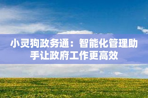 小灵狗政务通：智能化管理助手让政府工作更高效