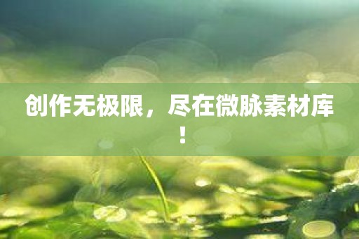 创作无极限，尽在微脉素材库！