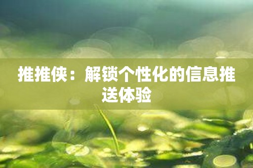 推推侠：解锁个性化的信息推送体验
