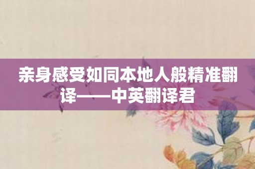 亲身感受如同本地人般精准翻译——中英翻译君