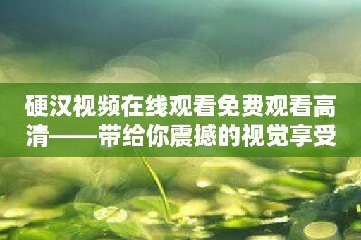 硬汉视频在线观看免费观看高清——带给你震撼的视觉享受！