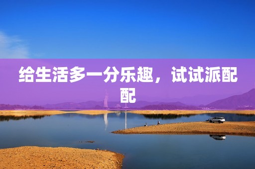 给生活多一分乐趣，试试派配配