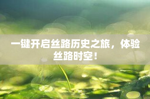 一键开启丝路历史之旅，体验丝路时空！