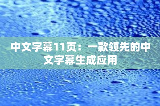 中文字幕11页：一款领先的中文字幕生成应用