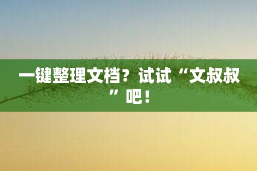 一键整理文档？试试“文叔叔”吧！