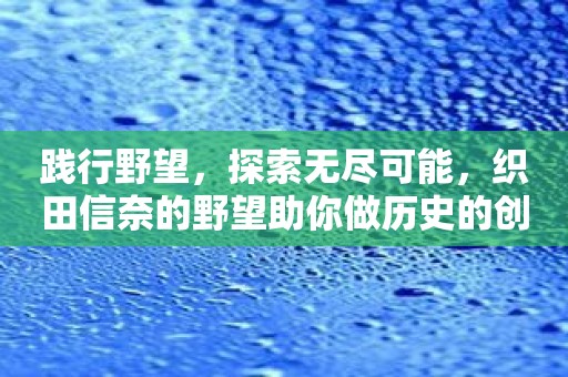 践行野望，探索无尽可能，织田信奈的野望助你做历史的创造者