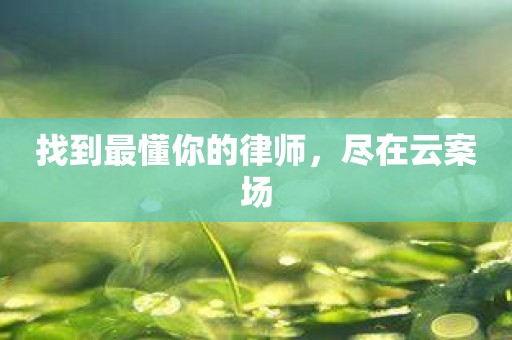 找到最懂你的律师，尽在云案场