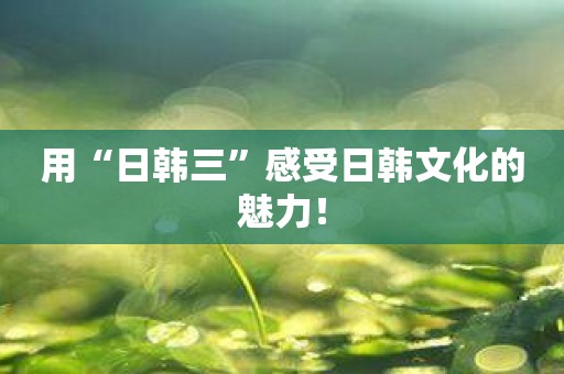 用“日韩三”感受日韩文化的魅力！
