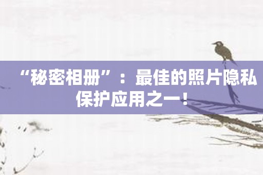 “秘密相册”：最佳的照片隐私保护应用之一！