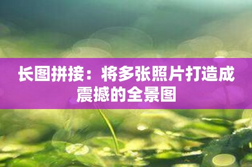长图拼接：将多张照片打造成震撼的全景图