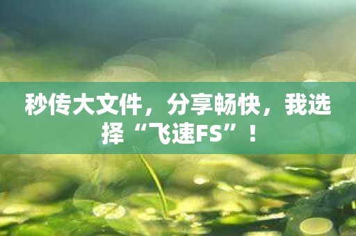 秒传大文件，分享畅快，我选择“飞速FS”！