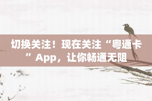 切换关注！现在关注“粤通卡”App，让你畅通无阻