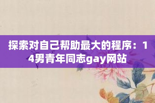 探索对自己帮助最大的程序：14男青年同志gay网站