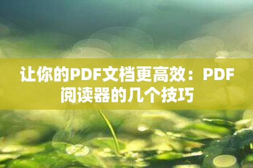 让你的PDF文档更高效：PDF阅读器的几个技巧