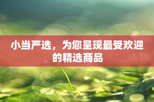 小当严选，为您呈现最受欢迎的精选商品