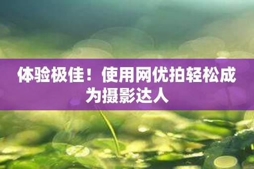 体验极佳！使用网优拍轻松成为摄影达人