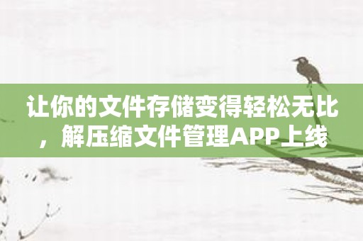 让你的文件存储变得轻松无比，解压缩文件管理APP上线