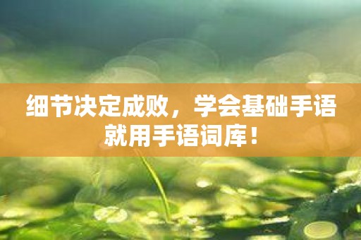 细节决定成败，学会基础手语就用手语词库！