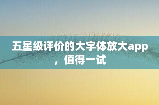 五星级评价的大字体放大app，值得一试