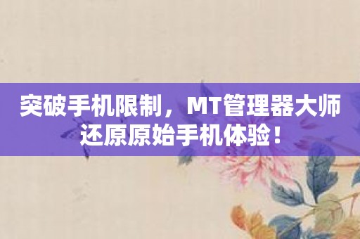 突破手机限制，MT管理器大师还原原始手机体验！