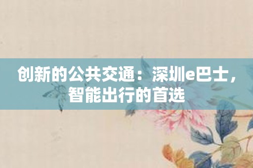 创新的公共交通：深圳e巴士，智能出行的首选