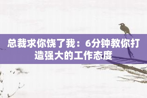 总裁求你饶了我：6分钟教你打造强大的工作态度