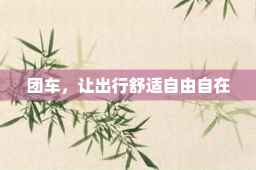 团车，让出行舒适自由自在