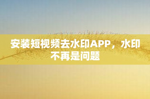 安装短视频去水印APP，水印不再是问题