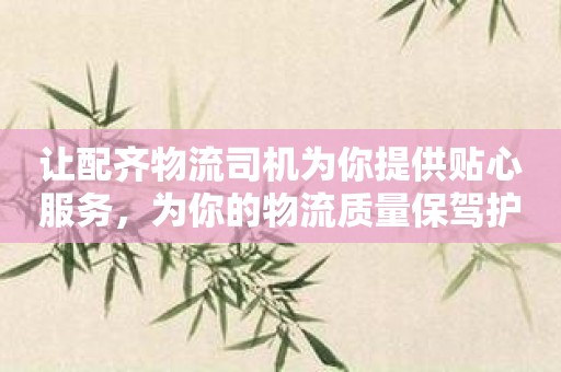 让配齐物流司机为你提供贴心服务，为你的物流质量保驾护航