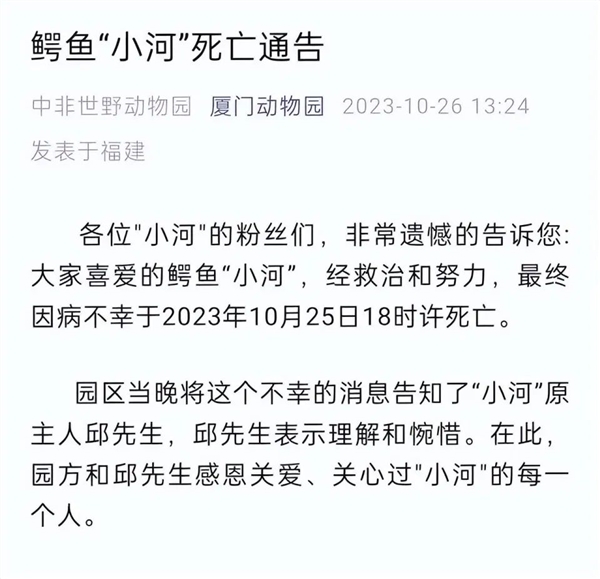 世界最大圈养湾鳄在厦门动物园被养死：全身溃烂露骨