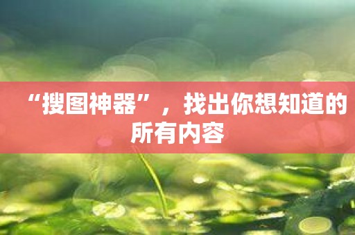 “搜图神器”，找出你想知道的所有内容
