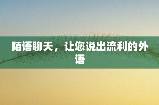陌语聊天，让您说出流利的外语