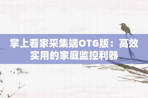 掌上看家采集端OTG版：高效实用的家庭监控利器