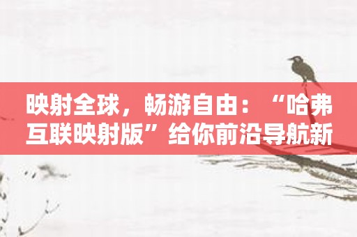 映射全球，畅游自由：“哈弗互联映射版”给你前沿导航新感受