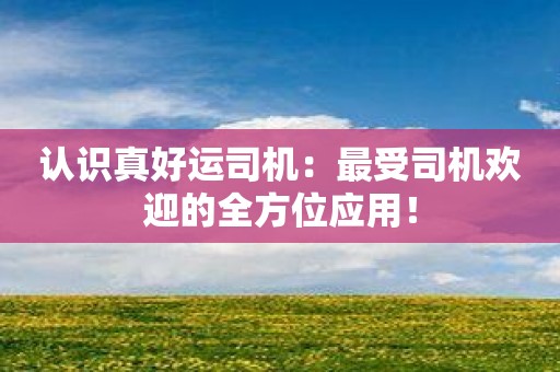 认识真好运司机：最受司机欢迎的全方位应用！