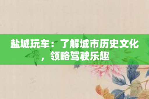 盐城玩车：了解城市历史文化，领略驾驶乐趣
