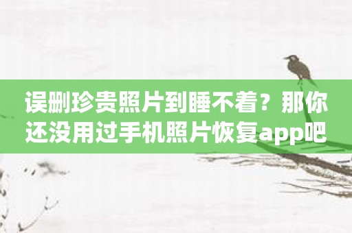 误删珍贵照片到睡不着？那你还没用过手机照片恢复app吧！