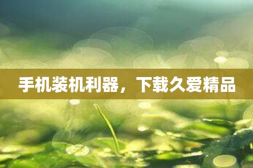 手机装机利器，下载久爱精品