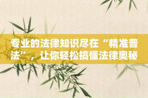 专业的法律知识尽在“精准普法”，让你轻松搞懂法律奥秘！