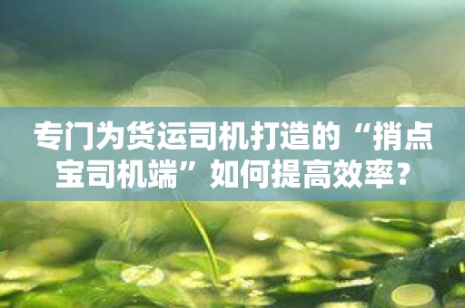 专门为货运司机打造的“捎点宝司机端”如何提高效率？