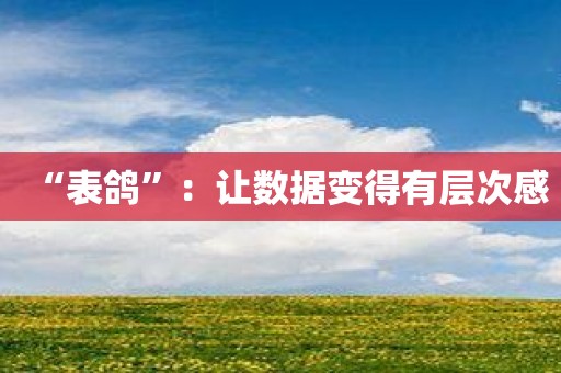 “表鸽”：让数据变得有层次感