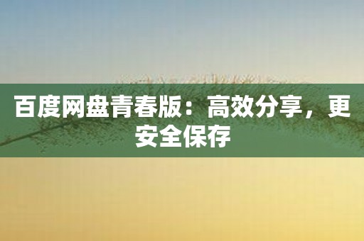 百度网盘青春版：高效分享，更安全保存