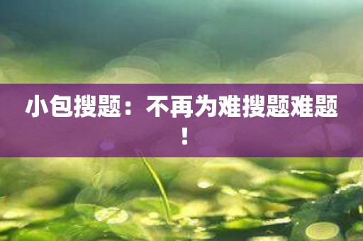 小包搜题：不再为难搜题难题！