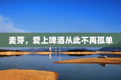 麦芽，爱上啤酒从此不再孤单